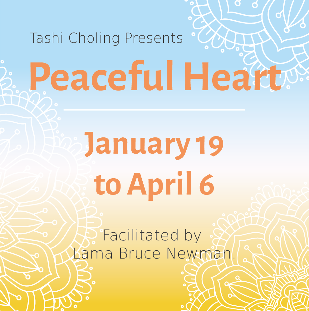 Read more about the article Peaceful Heart