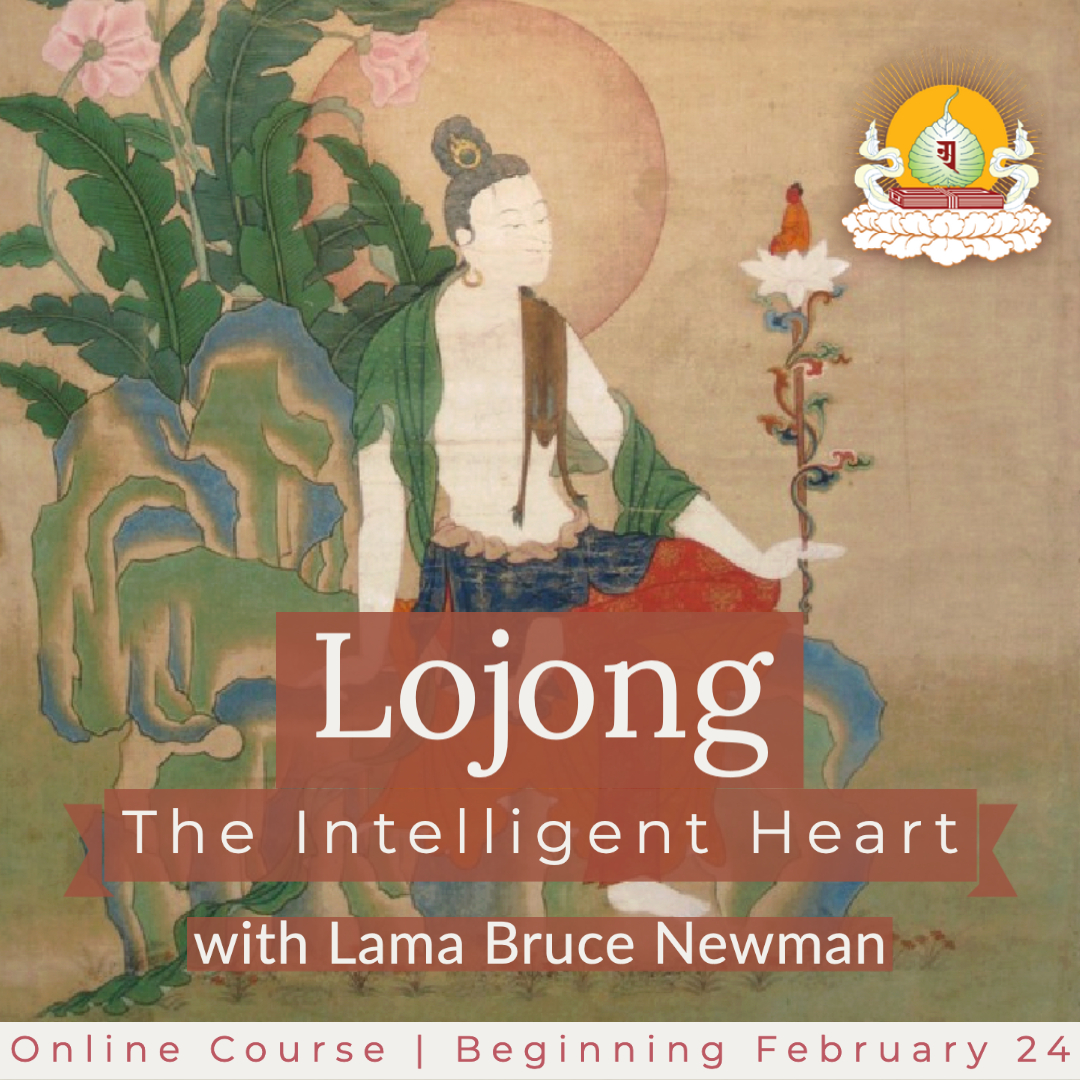 Read more about the article Lojong: The Intelligent Heart