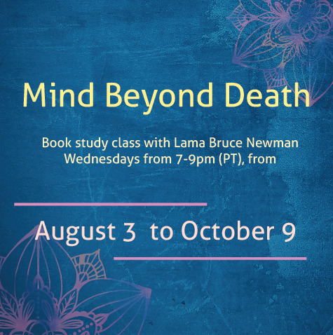 Read more about the article Mind Beyond Death