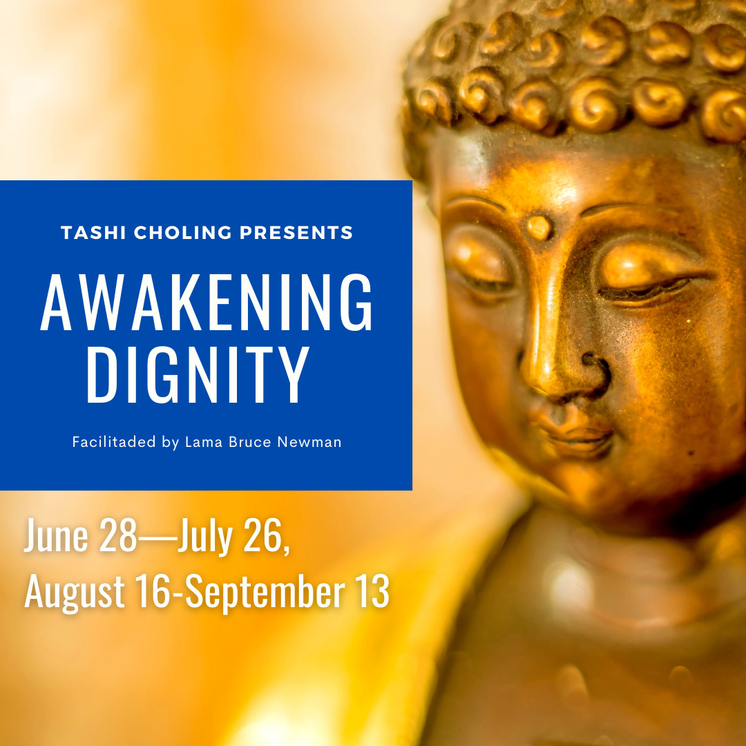 Read more about the article Awakening dignity