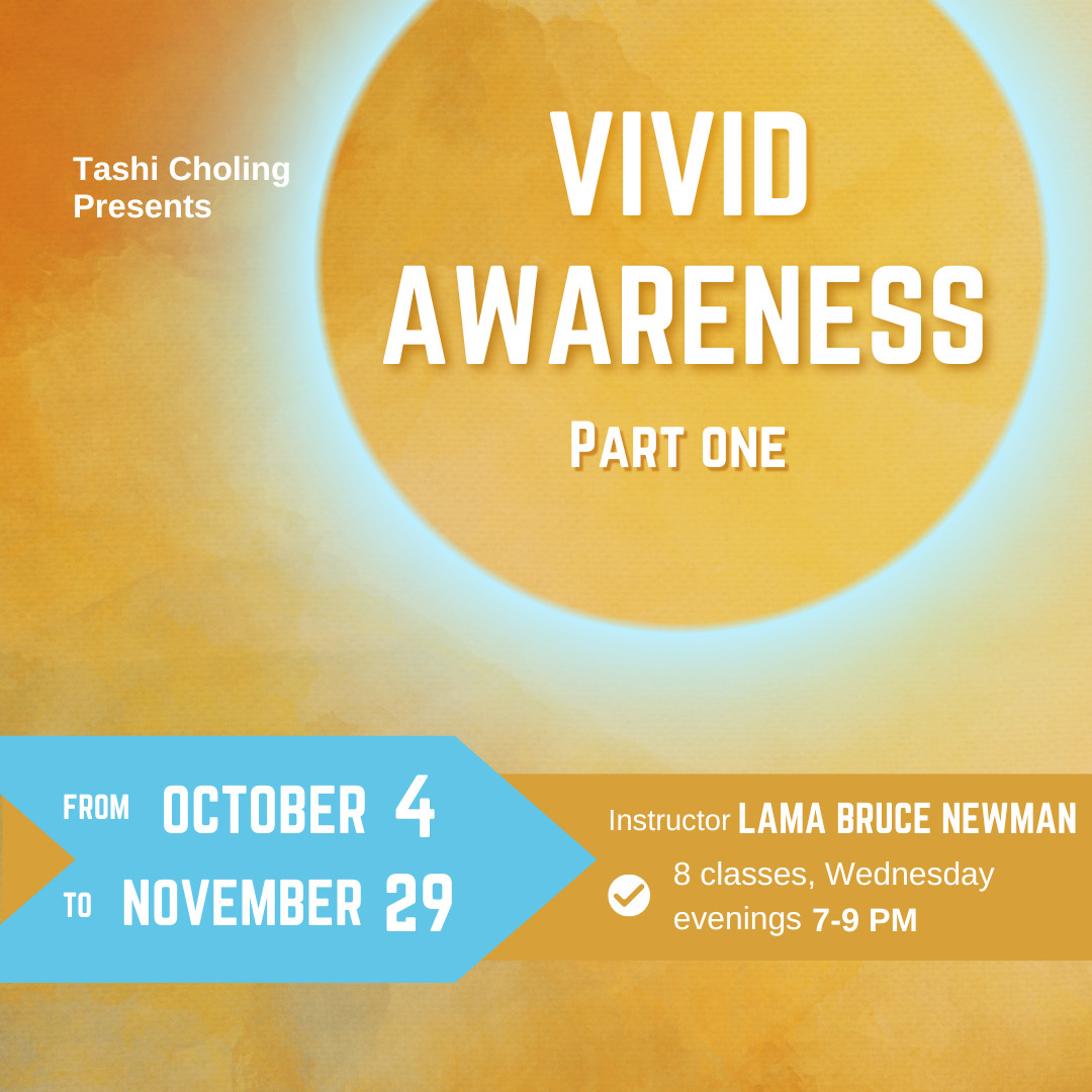 Read more about the article Vivid Awareness