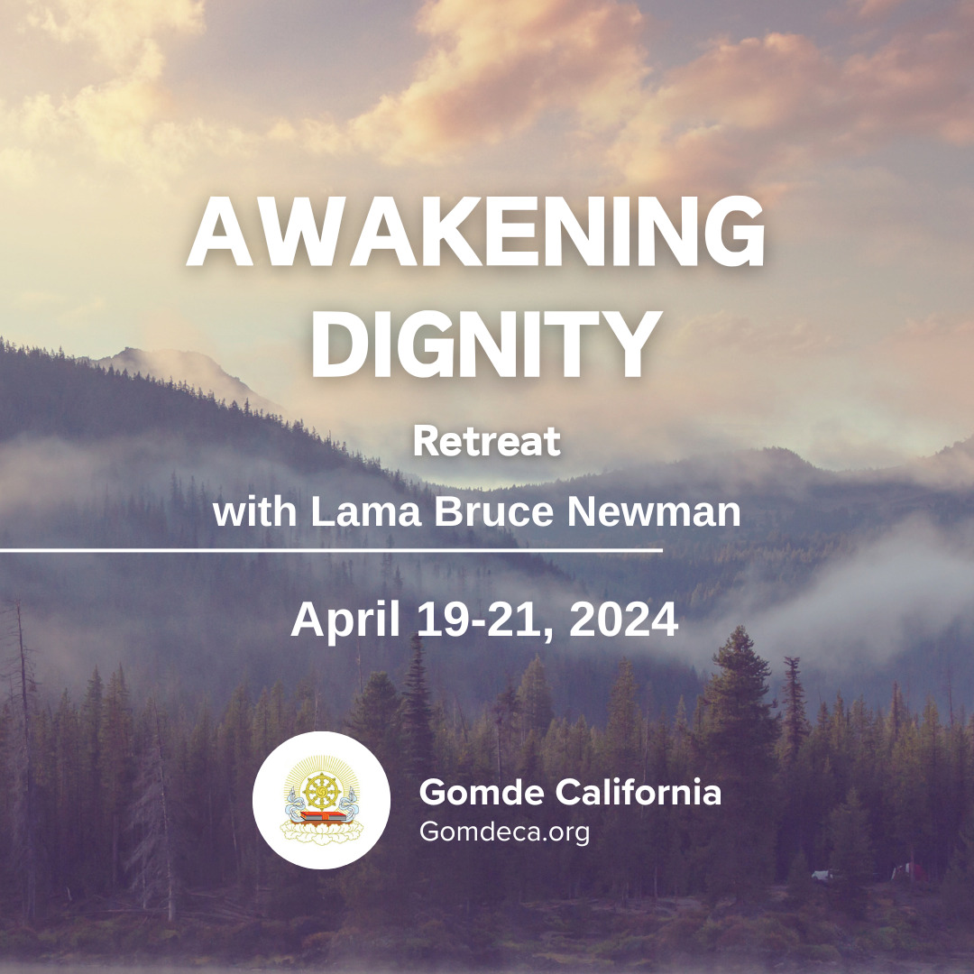 awakening dignity