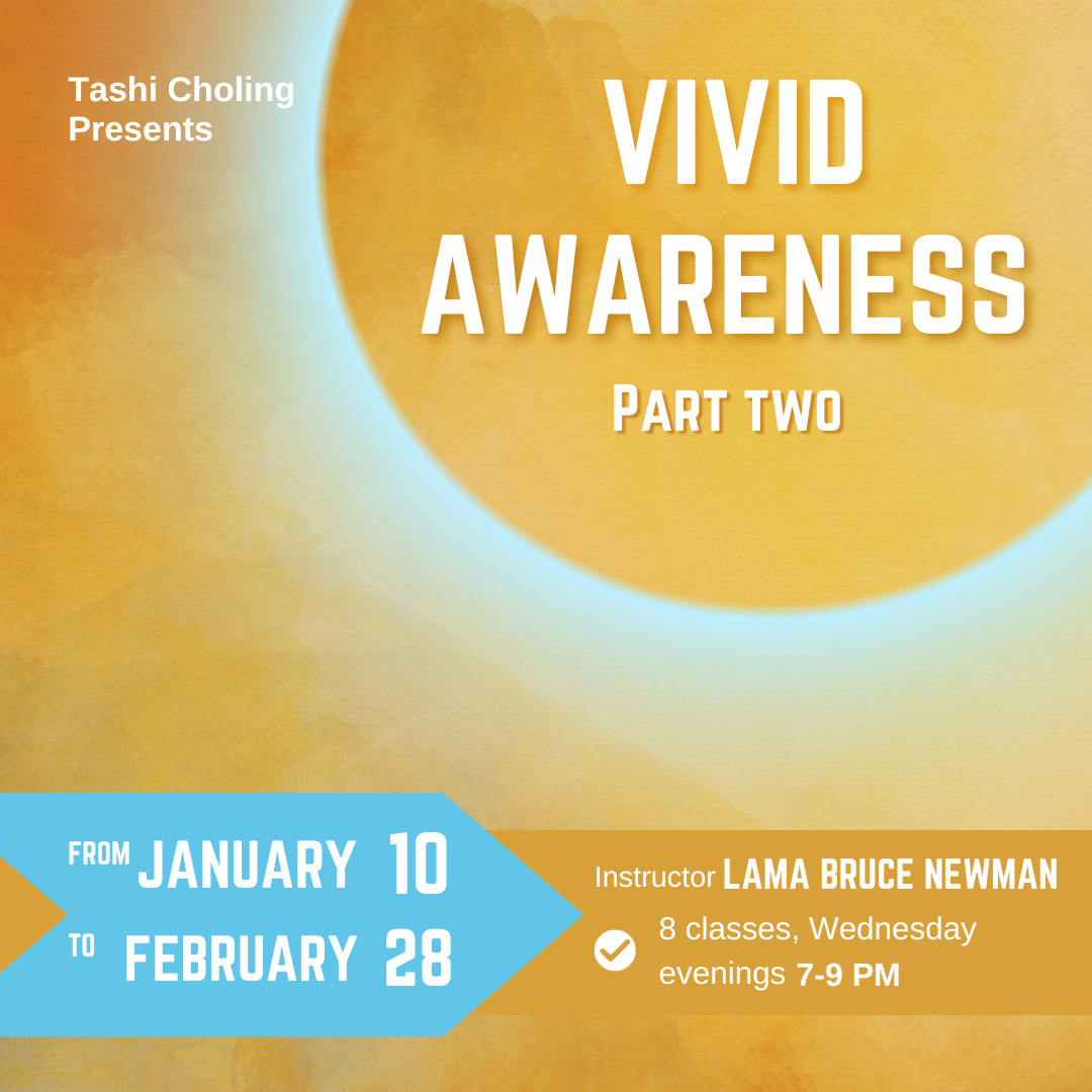 Read more about the article Vivid Awareness – Part Two